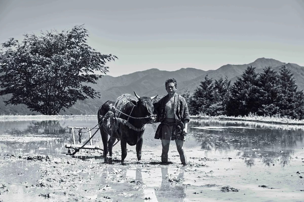 李康生挑樑《黑之牛》 幫牛洗澡清便 展現自然演技